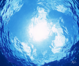 Akasha Life Atlantis Workshop
